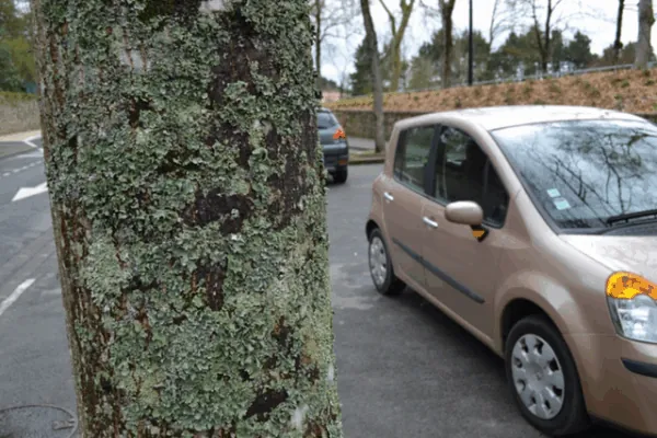 Qualité de l'air