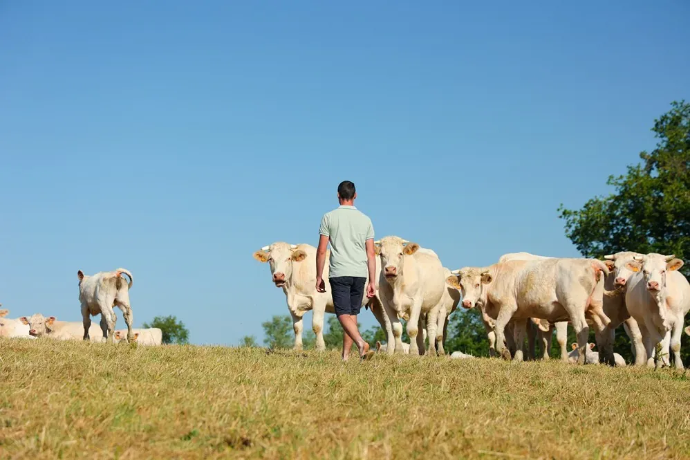 Agriculture