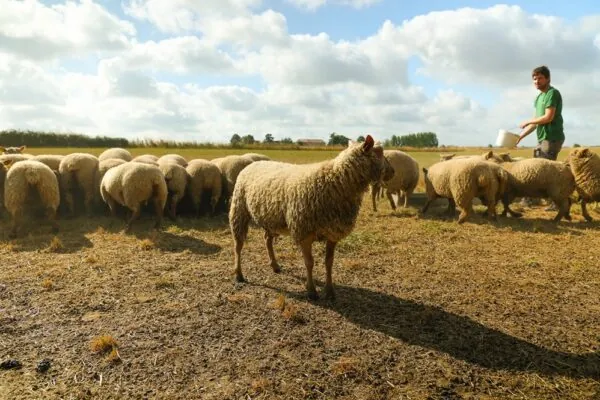 Partenaires agricoles